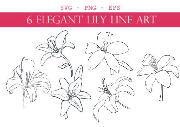 Download Bundel of 6 Elegant Lily Line Art - Line art Collection