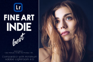 Download Fine-Art Indie Lightroom Presets - Set Collection