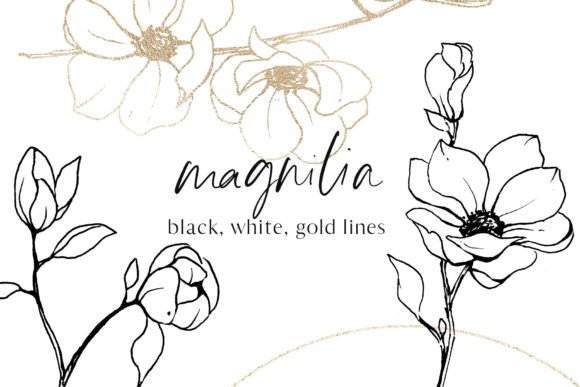 Download Flowers Magnolia Line Art Floral Set - Set Collection